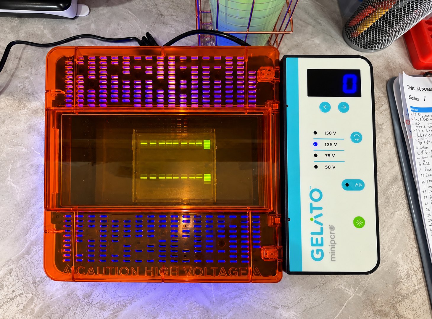 Gelato electrophoresis equipment with orange cover and control panel on the right, without purple markup
